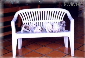 Galera no banco